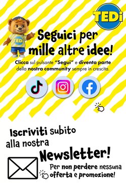 Volantino promozionale Tedi  valide dal 13/01/2026 - Pagina 12.