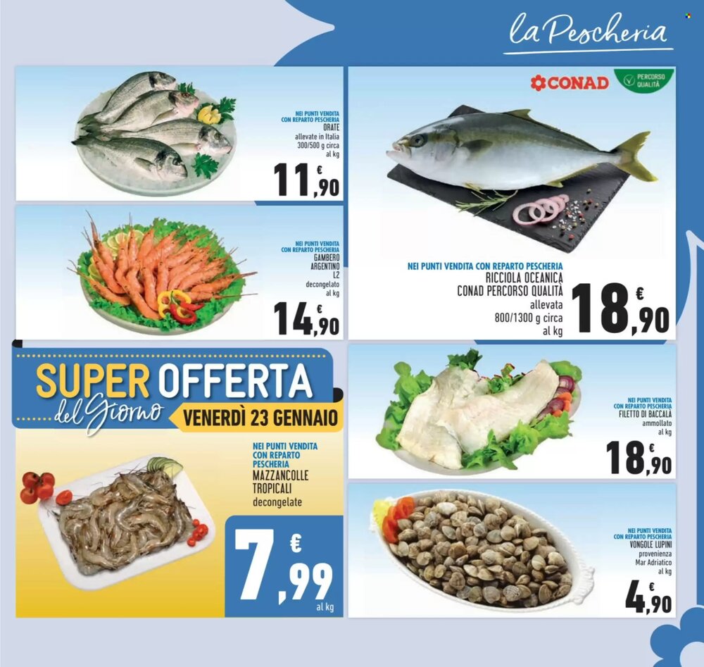 Volantino promozionale Conad  valide dal 14/01/2026 - Pagina 3.