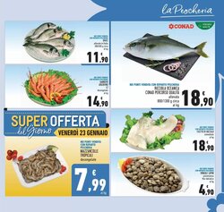 Volantino promozionale Conad  valide dal 14/01/2026 - Pagina 3.