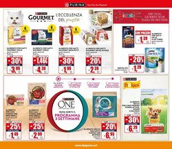 Volantino promozionale Il Gigante  valide dal 15/01/2026 - Pagina 31.