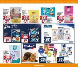 Volantino promozionale Il Gigante  valide dal 15/01/2026 - Pagina 33.