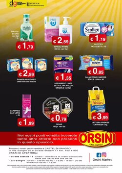 Volantino promozionale Orsini Market  valide dal 15/01/2026 - Pagina 12.