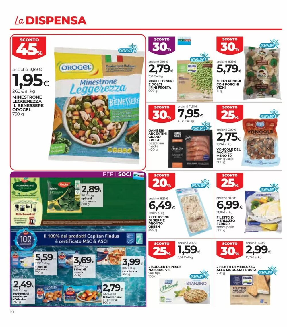 Volantino promozionale Coop Master Alleanza 3.0  valide dal 15/01/2026 - Pagina 14.