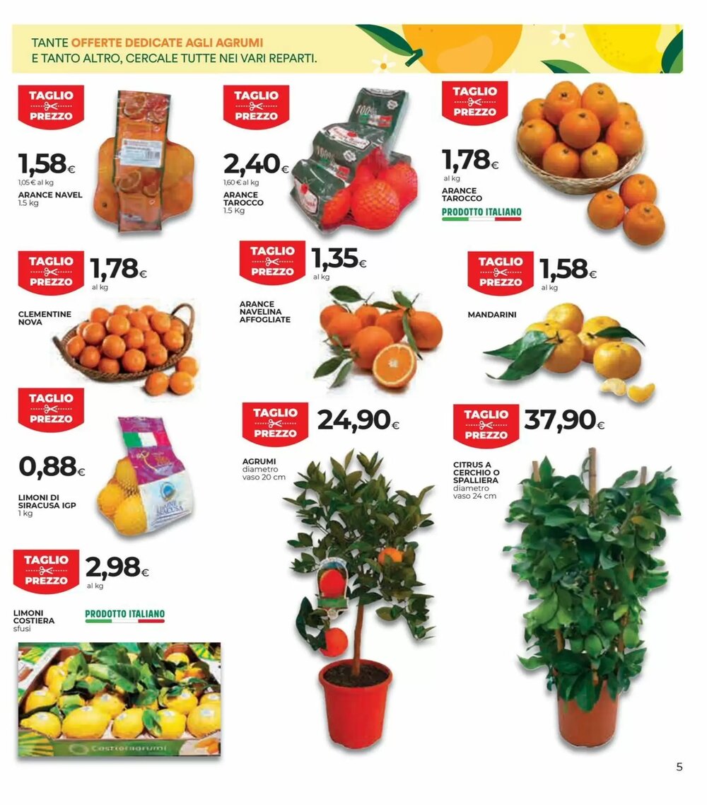 Volantino promozionale Coop Master Alleanza 3.0  valide dal 15/01/2026 - Pagina 5.