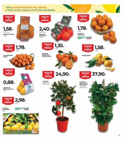 Volantino promozionale Coop Master Alleanza 3.0  valide dal 15/01/2026 - Pagina 5.