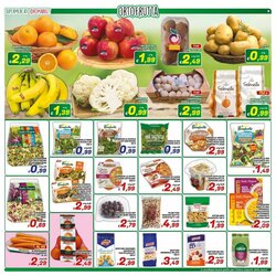 Volantino promozionale Idromarket  valide dal 16/01/2026 - Pagina 9.
