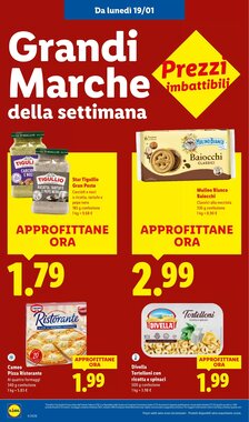 Volantino promozionale Lidl  valide dal 19/01/2026 - Pagina 14.
