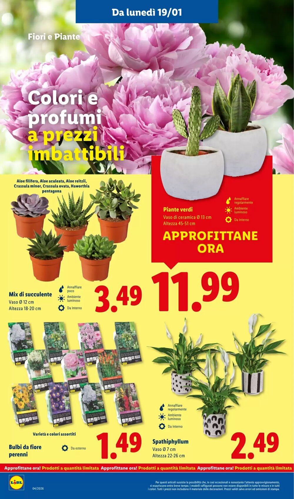 Volantino promozionale Lidl  valide dal 19/01/2026 - Pagina 38.