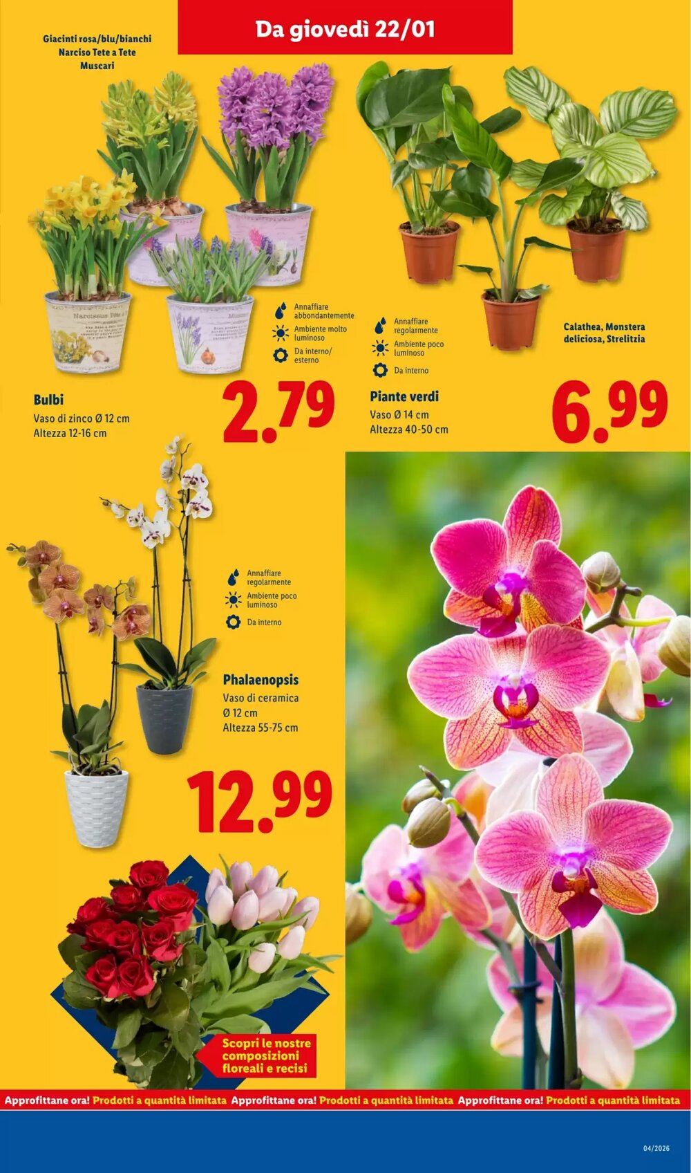 Volantino promozionale Lidl  valide dal 19/01/2026 - Pagina 39.