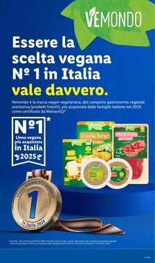 Volantino promozionale Lidl  valide dal 19/01/2026 - Pagina 47.