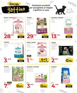 Volantino promozionale Arcaplanet  valide dal 19/01/2026 - Pagina 22.