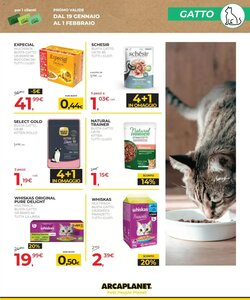 Volantino promozionale Arcaplanet  valide dal 19/01/2026 - Pagina 9.