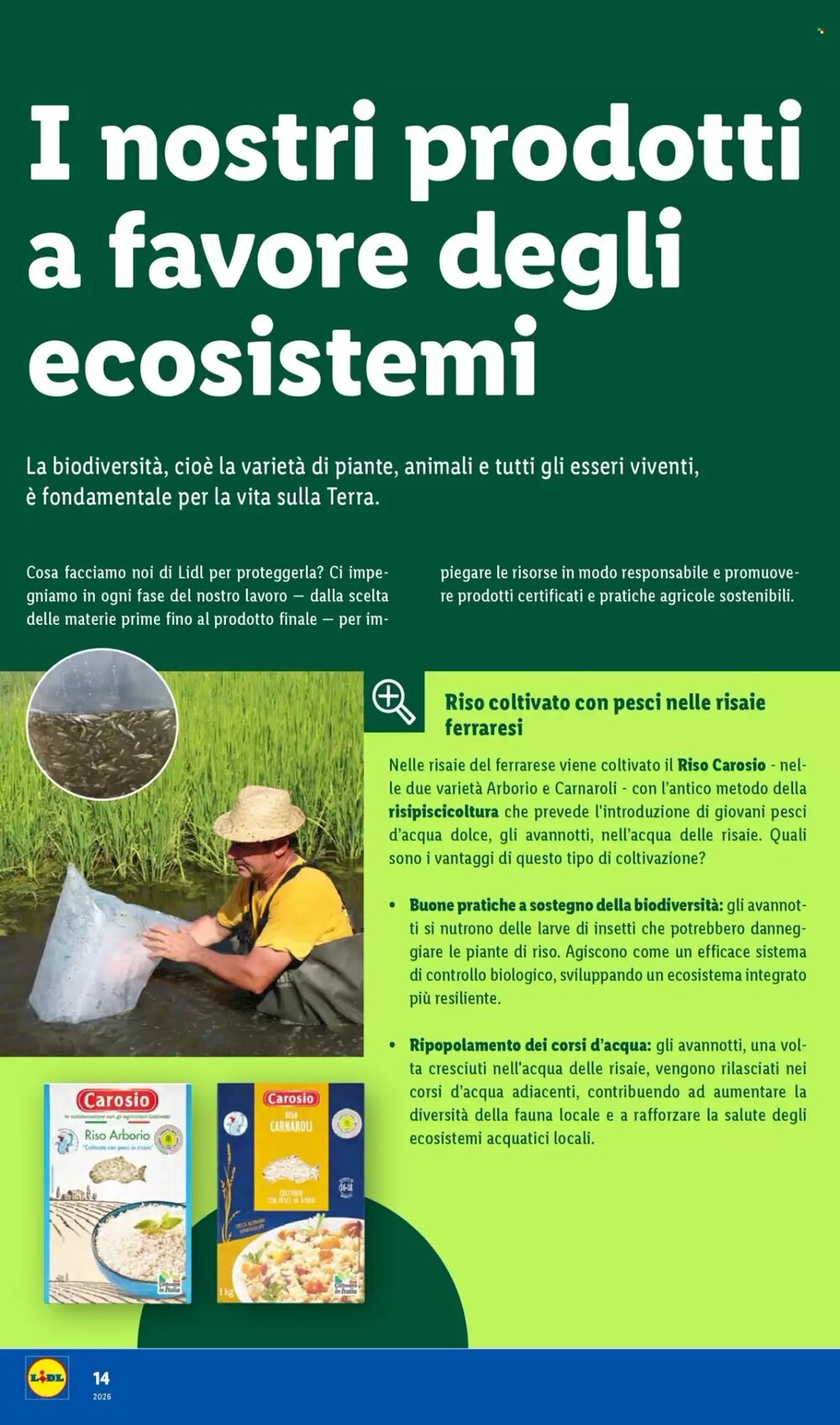 Volantino promozionale Lidl  valide dal 19/01/2026 - Pagina 14.