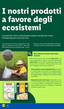 Volantino promozionale Lidl  valide dal 19/01/2026 - Pagina 14.