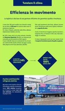 Volantino promozionale Lidl  valide dal 19/01/2026 - Pagina 21.