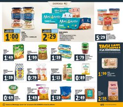 Volantino promozionale Deco Maxistore valide dal 20/01/2026 - Pagina 17.
