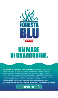 Volantino promozionale Ipercoop  valide dal 22/01/2026 - Pagina 18.