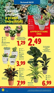Volantino promozionale Lidl  valide dal 22/01/2026 - Pagina 38.