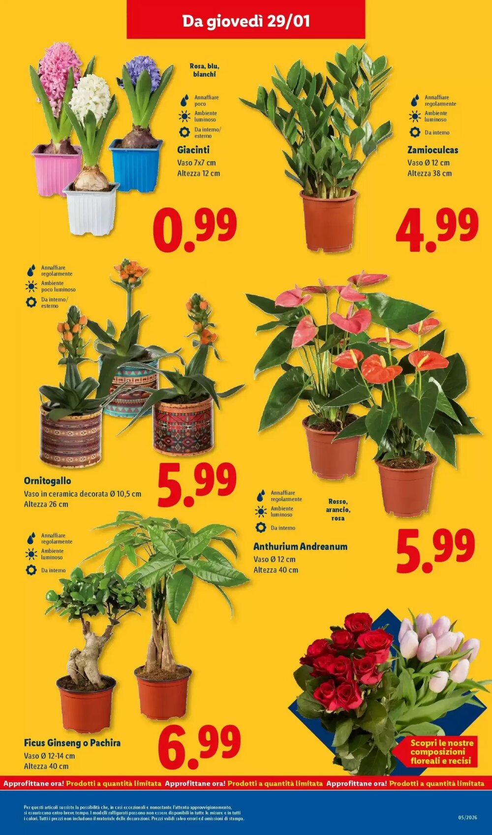 Volantino promozionale Lidl  valide dal 22/01/2026 - Pagina 39.