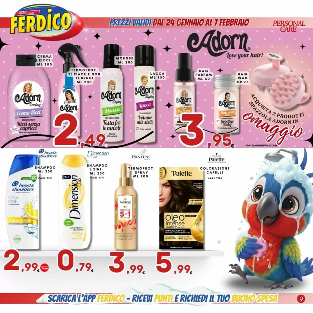 Volantino promozionale Ferdico  valide dal 24/01/2026 - Pagina 10.