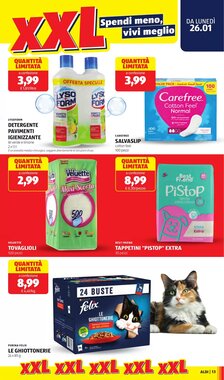 Volantino promozionale ALDI valide dal 26/01/2026 - Pagina 13.