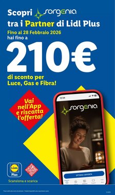 Volantino promozionale Lidl  valide dal 26/01/2026 - Pagina 33.