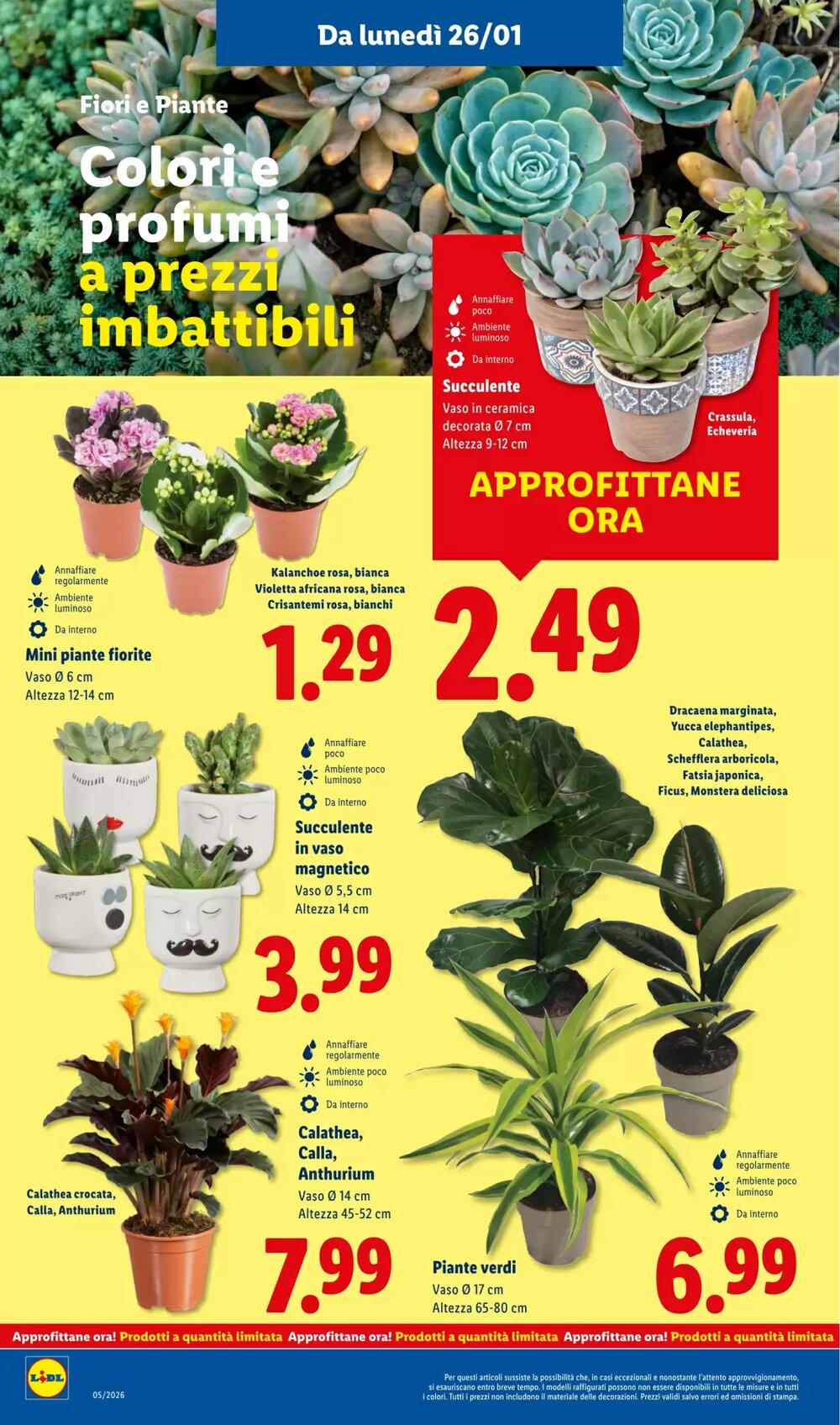 Volantino promozionale Lidl  valide dal 26/01/2026 - Pagina 38.