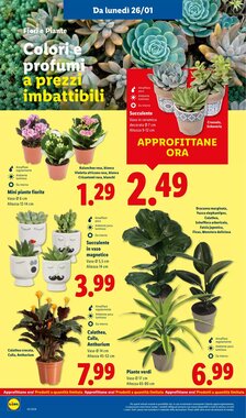 Volantino promozionale Lidl  valide dal 26/01/2026 - Pagina 38.
