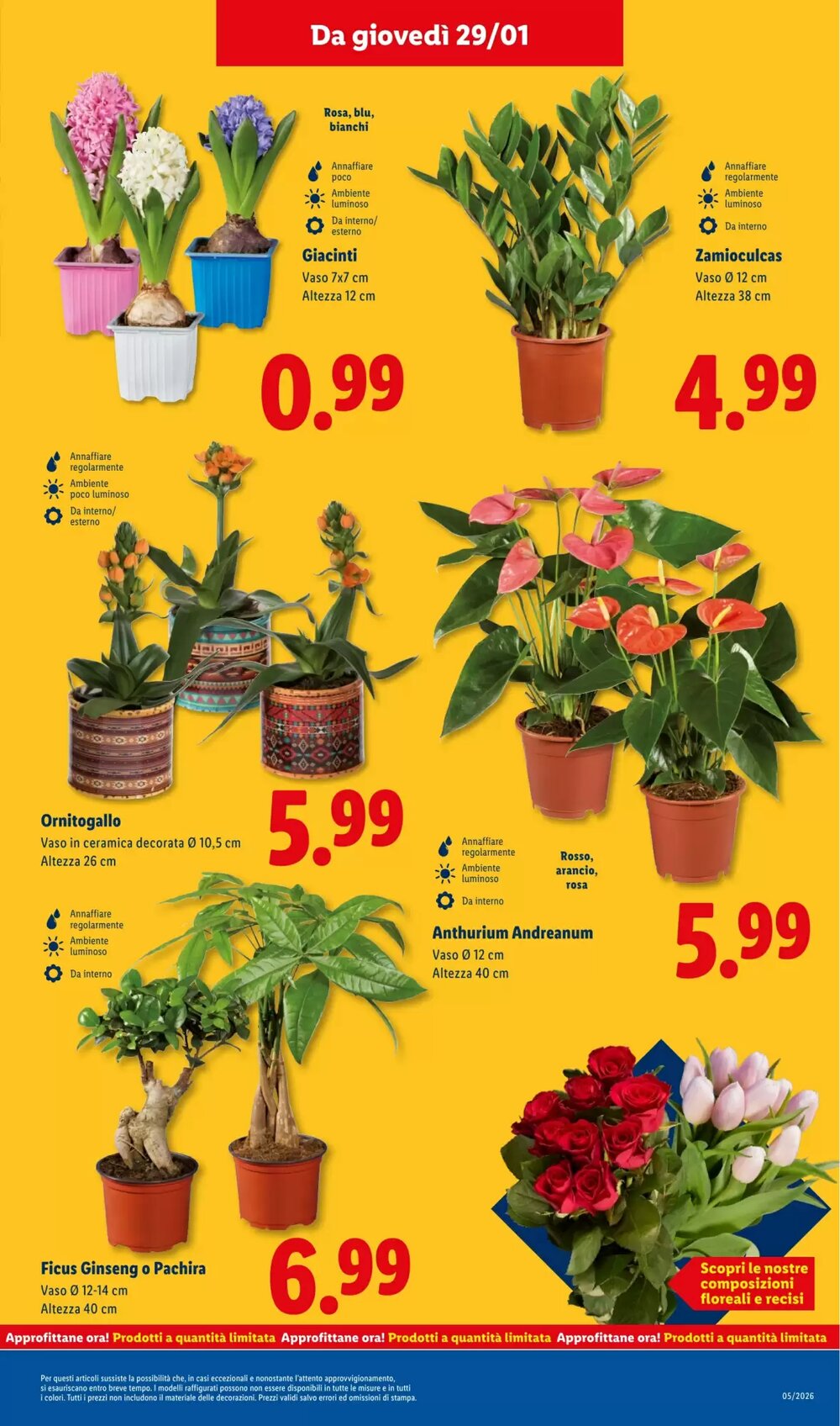 Volantino promozionale Lidl  valide dal 26/01/2026 - Pagina 39.