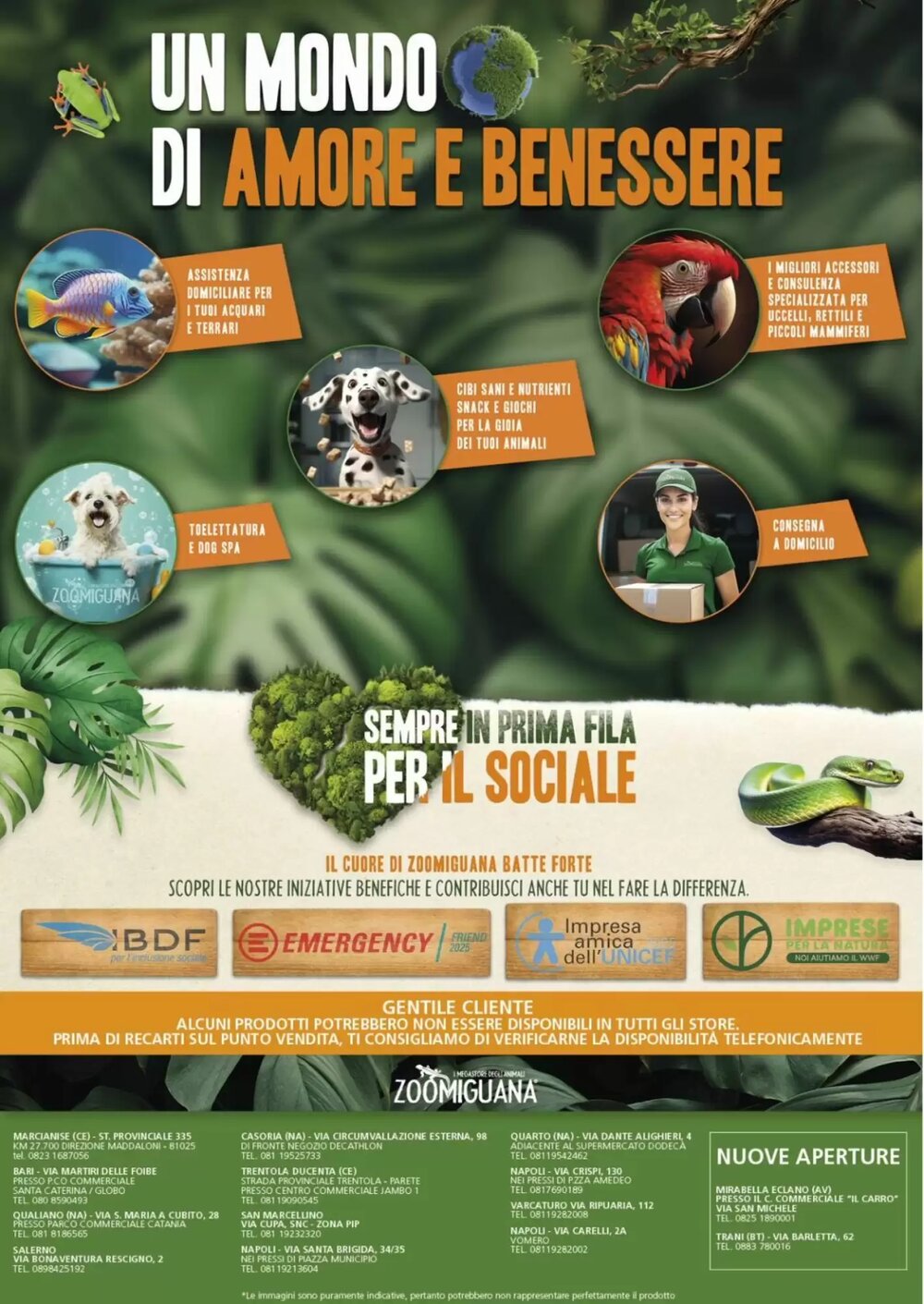 Volantino promozionale Zoomiguana  valide dal 12/02/2026 - Pagina 12.