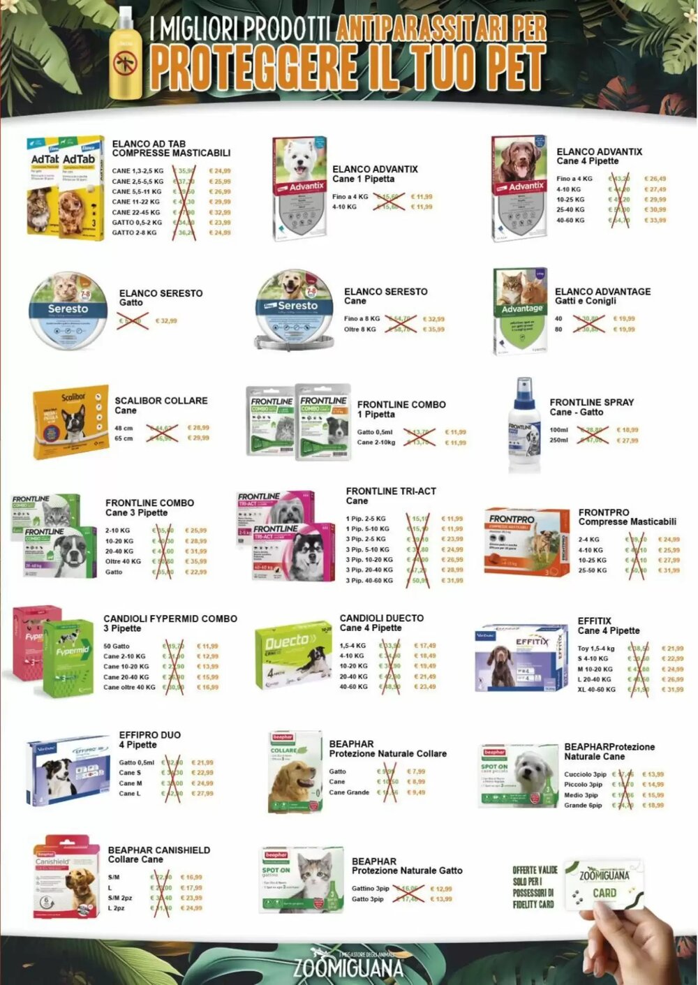 Volantino promozionale Zoomiguana  valide dal 12/02/2026 - Pagina 3.