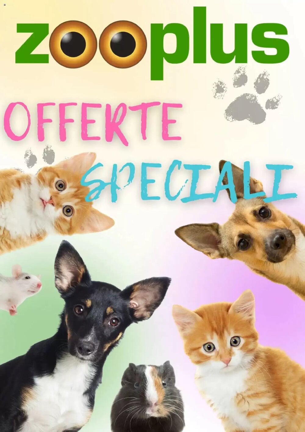 Volantino promozionale Zooplus  valide dal 16/02/2026 - Pagina 1.