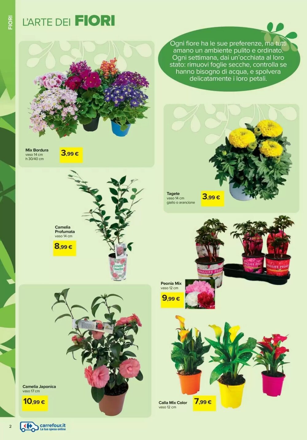 Volantino promozionale Carrefour Iper  valide dal 19/02/2026 - Pagina 2.