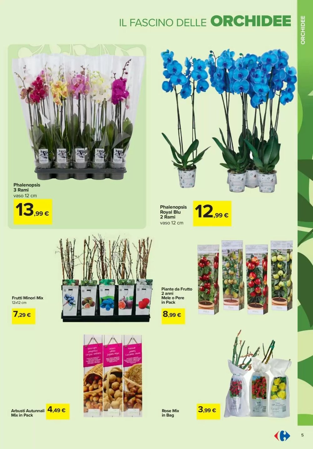 Volantino promozionale Carrefour Iper  valide dal 19/02/2026 - Pagina 5.