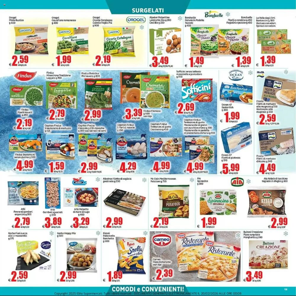 Volantino promozionale Elite  valide dal 20/02/2026 - Pagina 13.