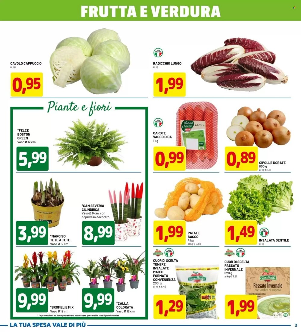 Volantino promozionale DPiù  valide dal 23/02/2026 - Pagina 3.