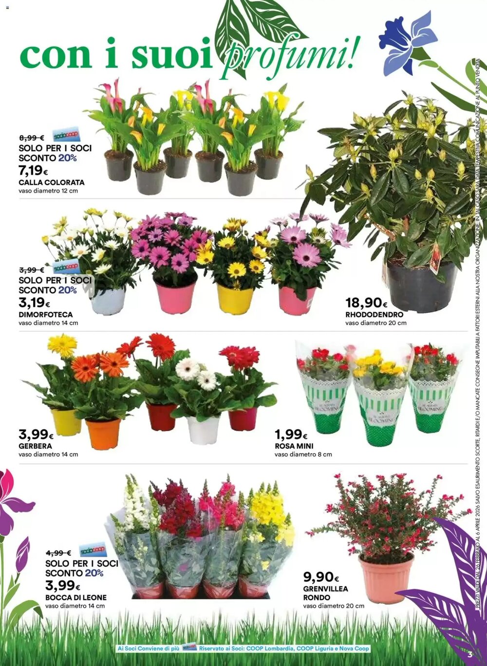 Volantino promozionale Ipercoop  valide dal 26/02/2026 - Pagina 3.