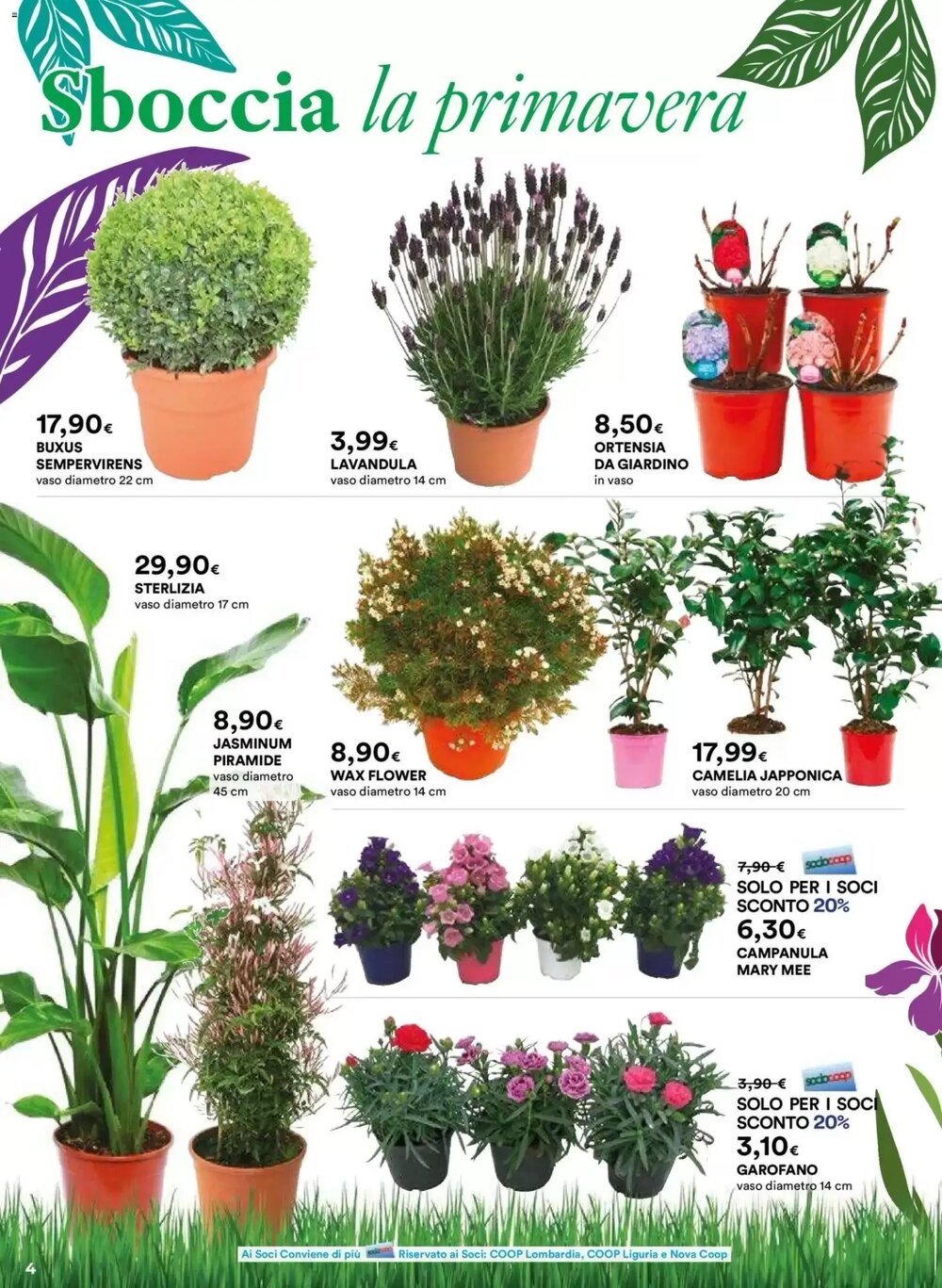 Volantino promozionale Ipercoop  valide dal 26/02/2026 - Pagina 4.