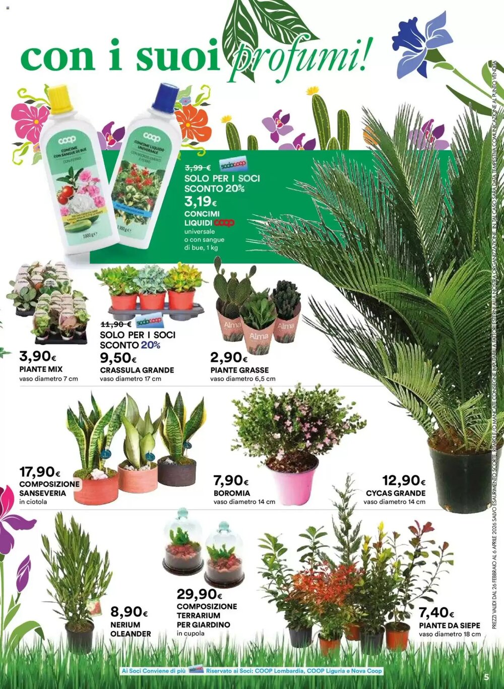 Volantino promozionale Ipercoop  valide dal 26/02/2026 - Pagina 5.