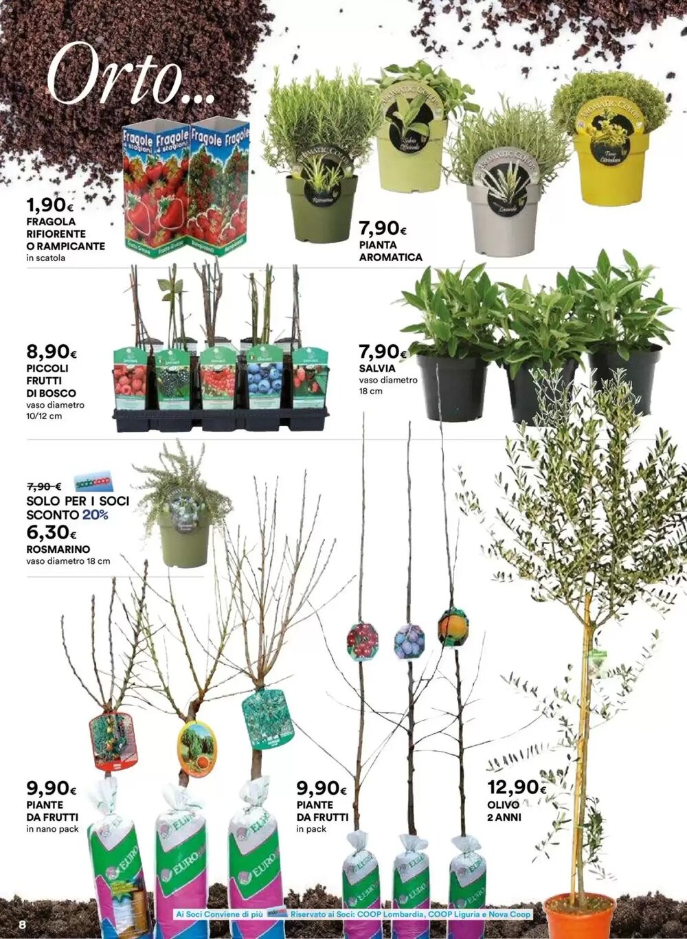 Volantino promozionale Ipercoop  valide dal 26/02/2026 - Pagina 8.