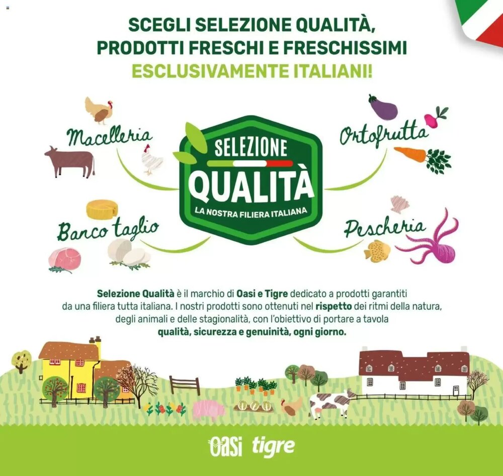 Volantino promozionale Tigre  valide dal 26/02/2026 - Pagina 7.