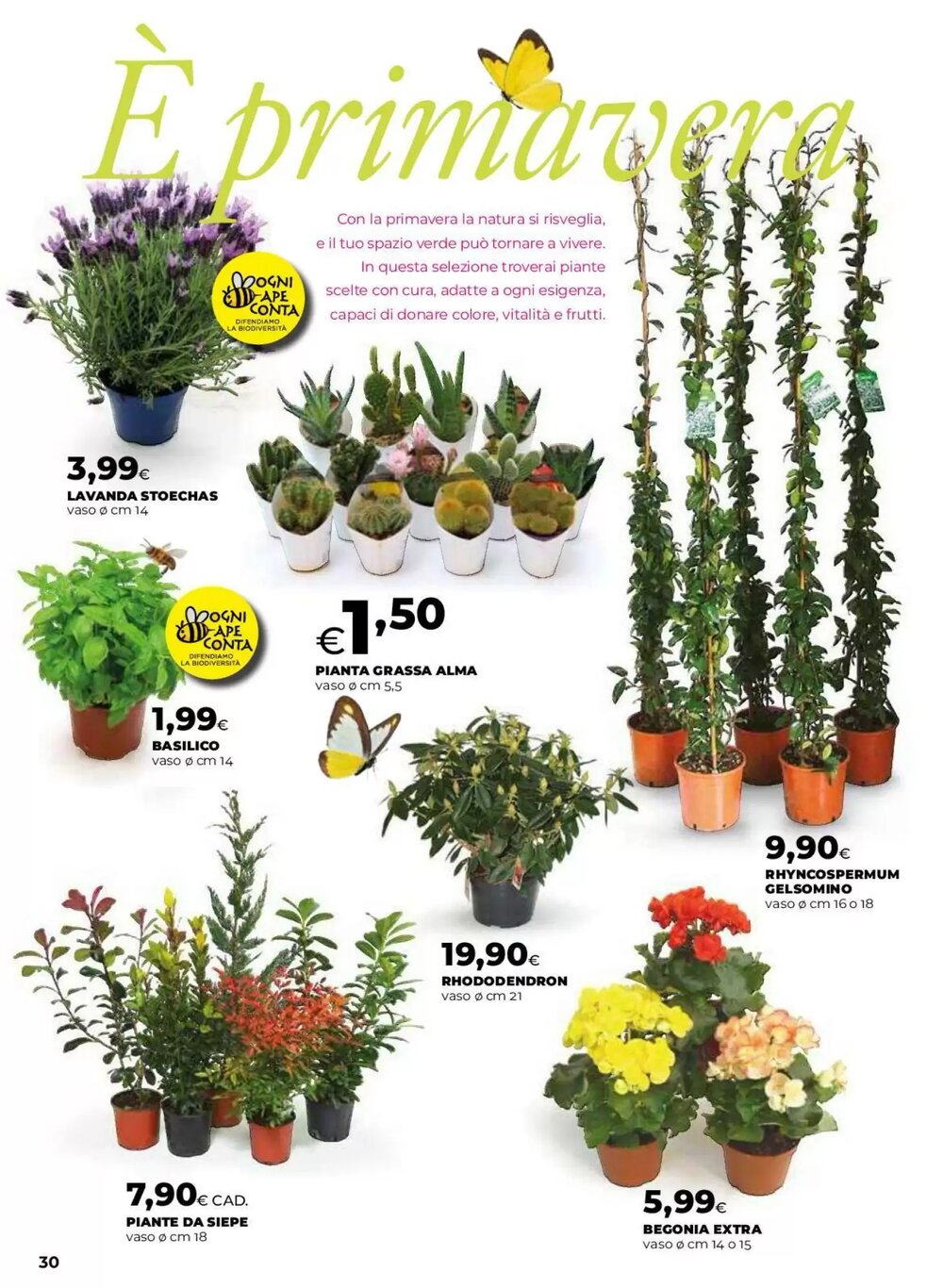 Volantino promozionale Ipercoop  valide dal 12/03/2026 - Pagina 30.