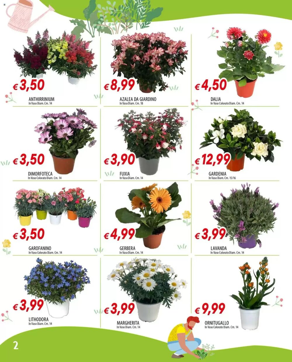 Volantino promozionale IperFamila  valide dal 12/03/2026 - Pagina 2.