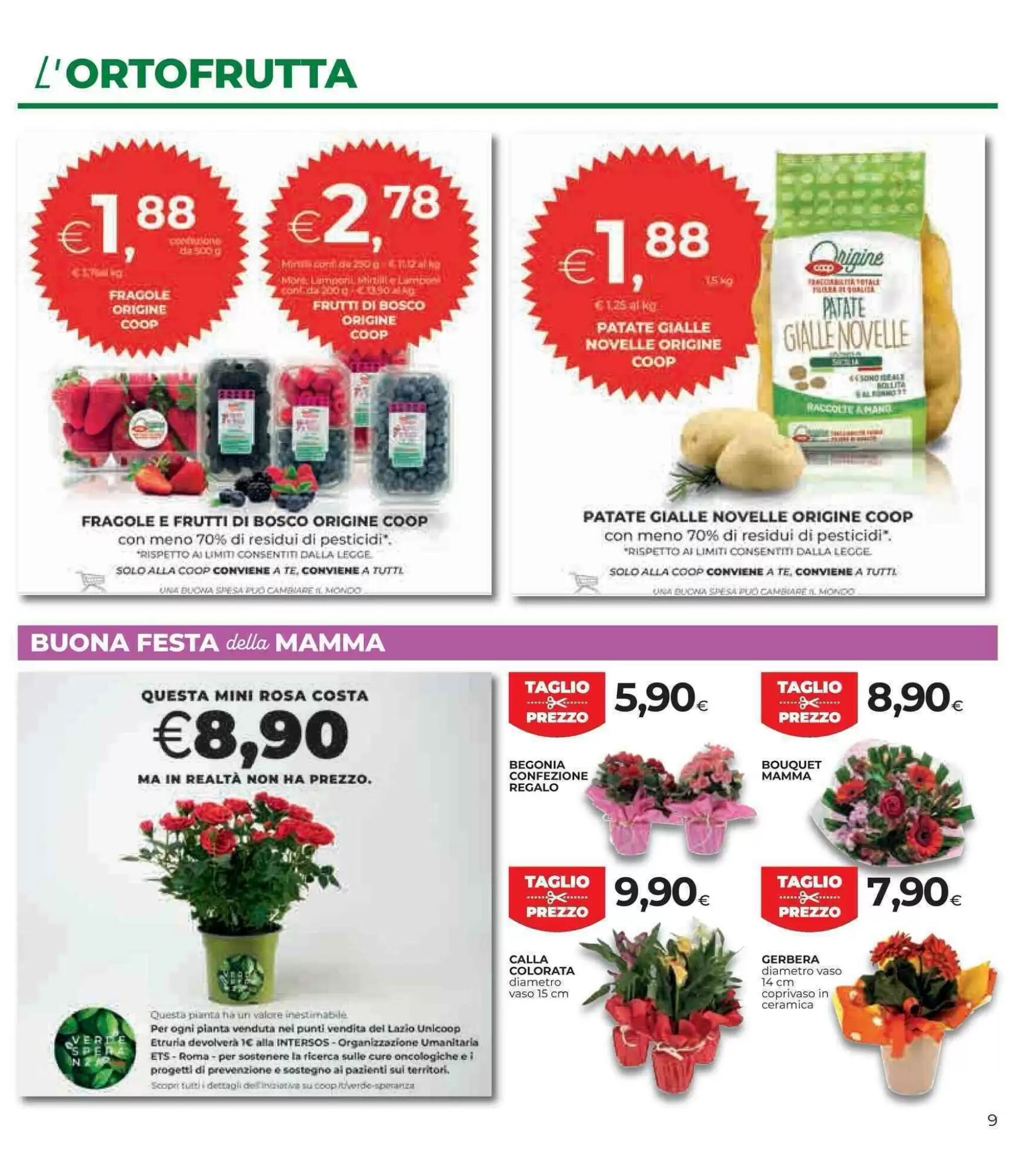 Volantino promozionale Coop Master Alleanza 3.0  valide dal 07/05/2026 - Pagina 9.