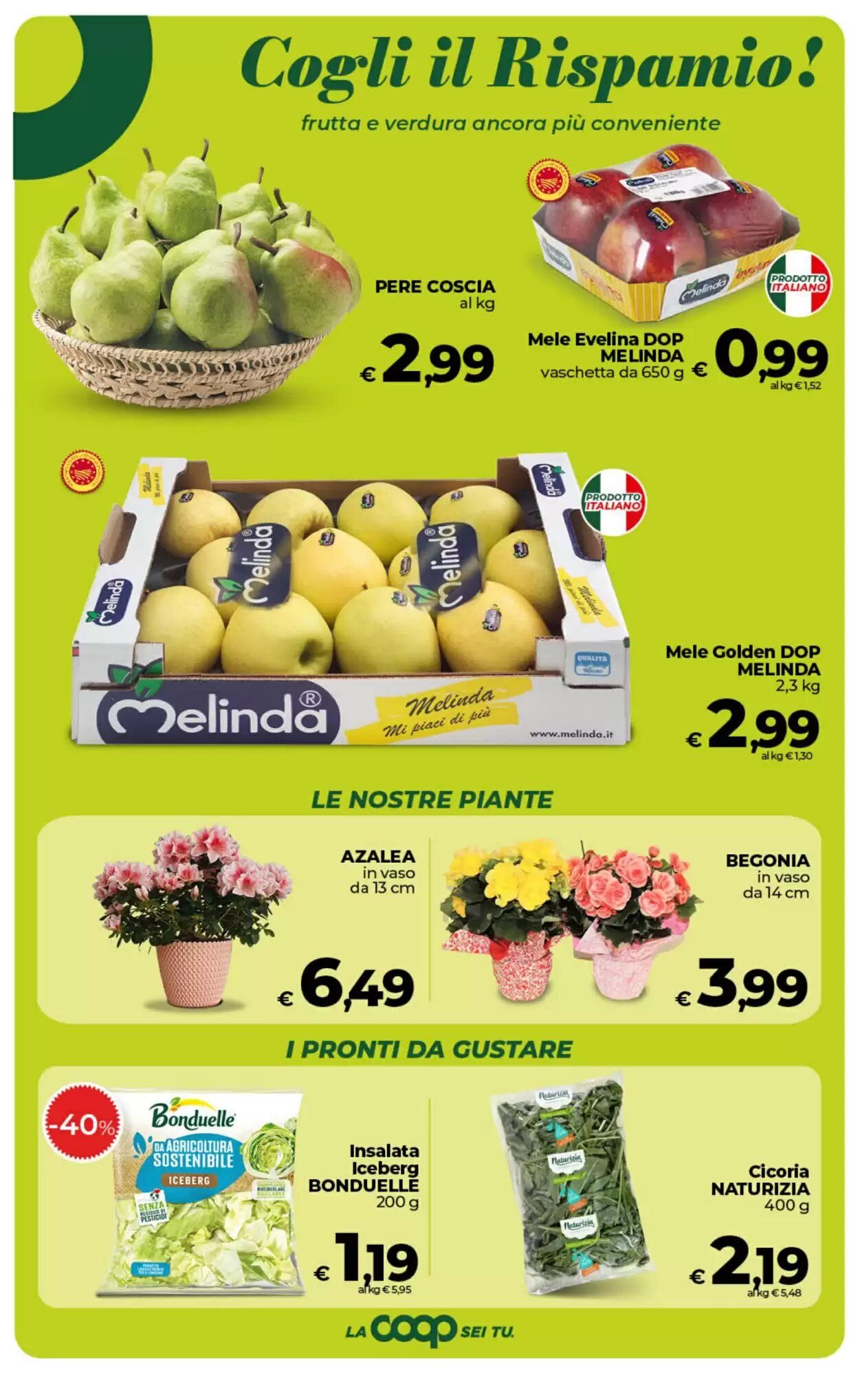 Volantino promozionale Coop  valide dal 07/05/2026 - Pagina 24.