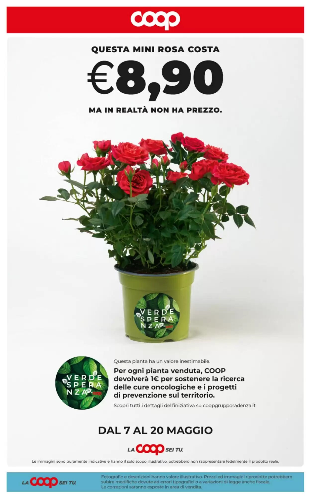 Volantino promozionale Coop  valide dal 07/05/2026 - Pagina 41.