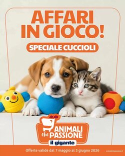 Volantino promozionale Il Gigante valide dal 07/05/2026