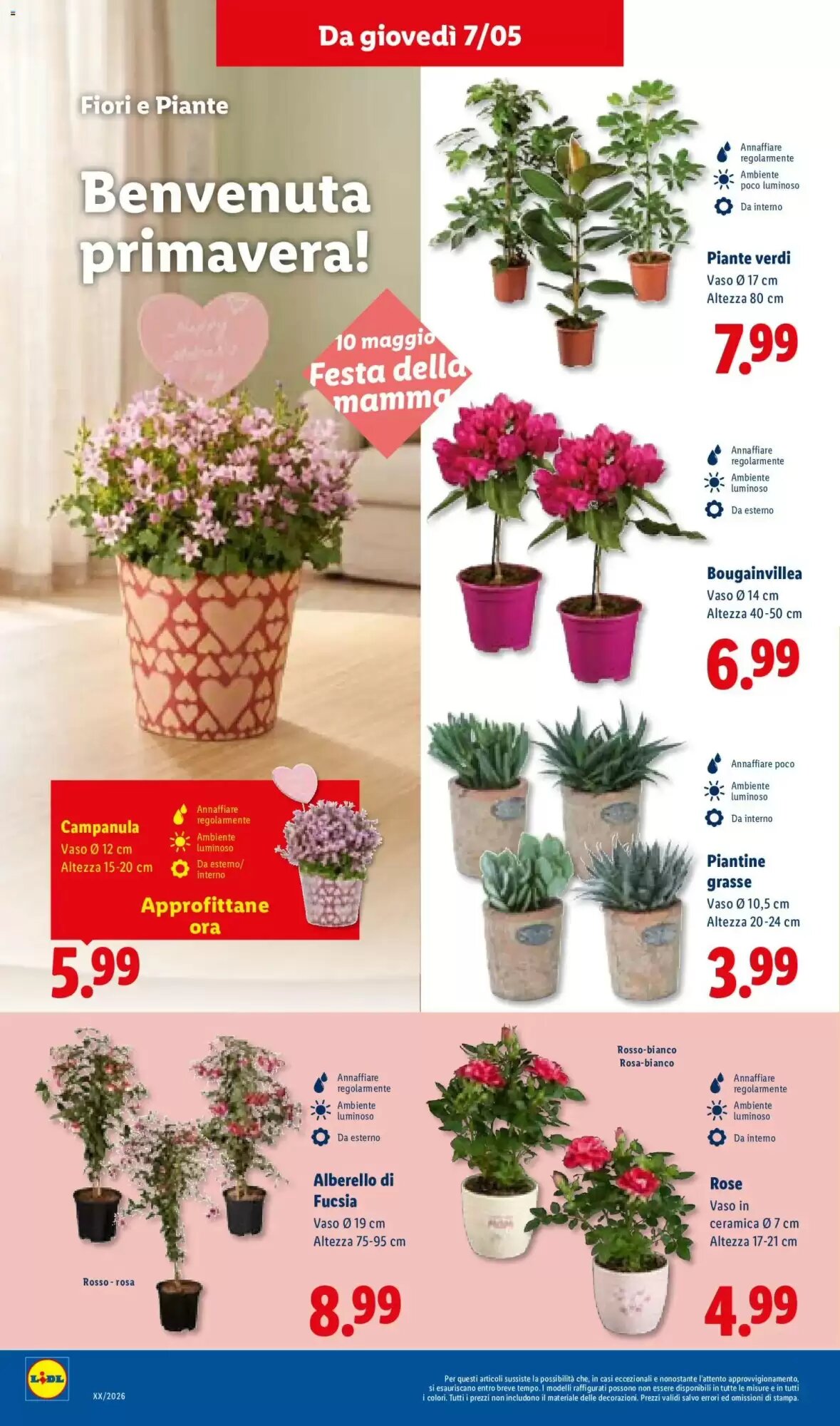 Volantino promozionale Lidl  valide dal 07/05/2026 - Pagina 30.