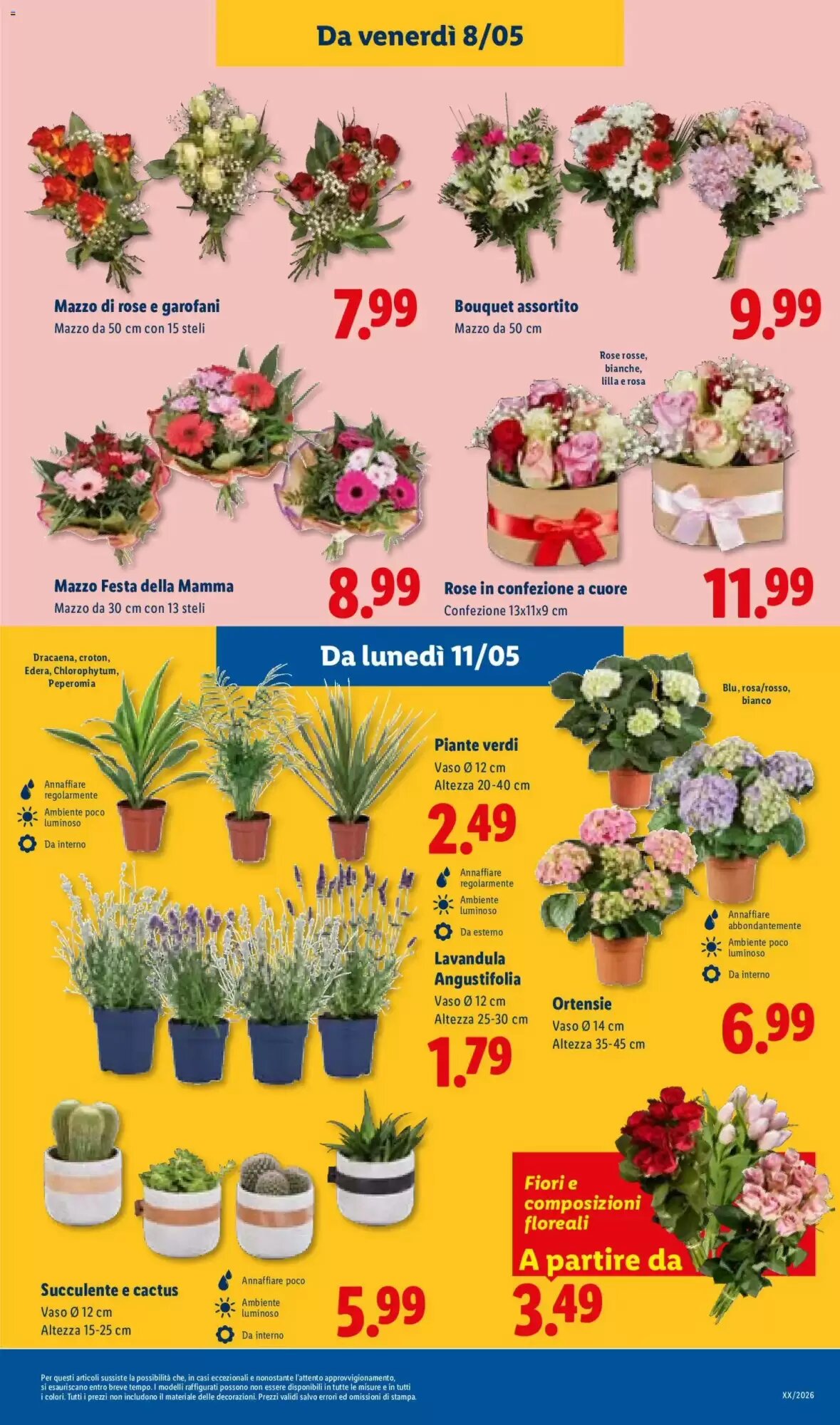 Volantino promozionale Lidl  valide dal 07/05/2026 - Pagina 31.
