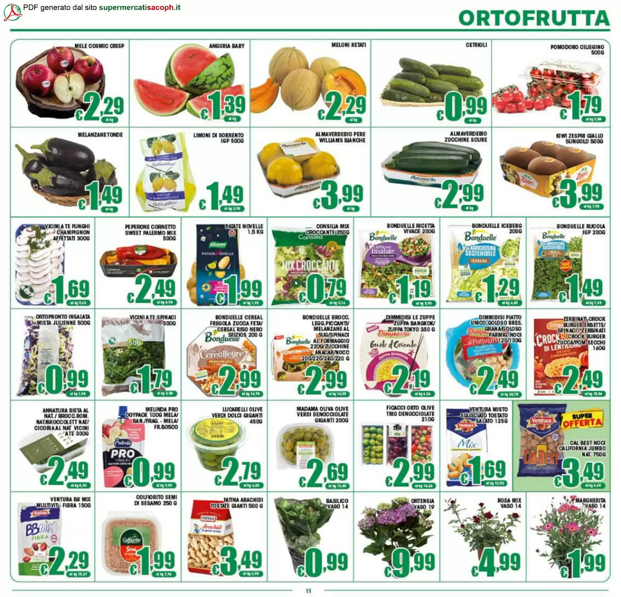 Volantino promozionale Sacoph  valide dal 08/05/2026 - Pagina 11.